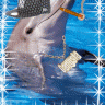 DOLPHWEEEEEEEEN