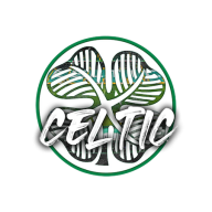 Celtic2735