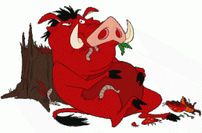 l PumbaA x 17 l