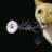MoJo Le Tbnk