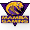Mamba Gaming