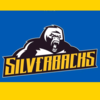Silverbacks Hockey