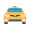 Taxi Squad