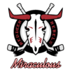Miraculous