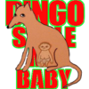 Dingo Stole My Baby