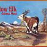 slow elk